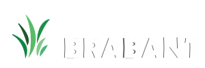 Kunstgras Brabant