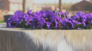 kunstgras ervaringen