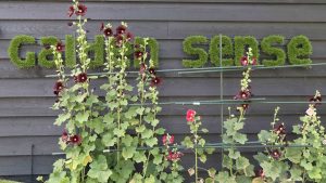 garden sense kunstgras brabant