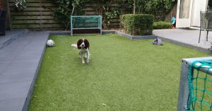 kunstgras-diervriendelijk