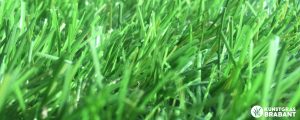 schoon kunstgras