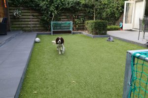 sportgras-diervriendelijk